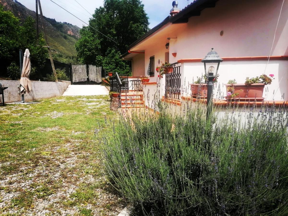 L'opuntia Sul Caccamo