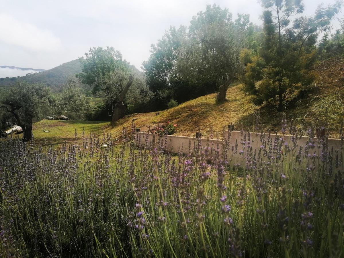 Holiday home L'opuntia Sul Caccamo